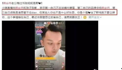 胖冉爆料视频,娱乐圈幕后真相大曝光